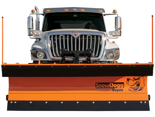 SnowDogg® 36 Inch Trip Edge Steel Municipal Plow Assembly